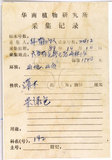 中文名:華八仙(S045577)學名:Hydrangea chinensis Maxim.(S045577)英文名:Chinese Hydrangea