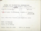 中文名:絞股藍(S068243)學名:Gynostemma pentaphyllum (Thunb.) Makino(S068243)