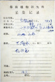 中文名:鐵掃帚(S045572)學名:Lespedeza cuneata (Dumont d. Cours.) G. Don(S045572)中文別名:千里光英文名:Perennial lespedeza, Iron broom