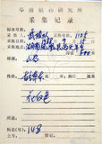 中文名:鐵掃帚(S045788)學名:Lespedeza cuneata (Dumont d. Cours.) G. Don(S045788)中文別名:千里光英文名:Perennial lespedeza, Iron broom