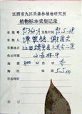 中文名:紅皮(S024013)學名:Styrax suberifolia Hook. & Arn.(S024013)中文別名:葉下白英文名:Cork leaf snow bell