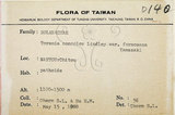 中文名:倒地蜈蚣(S073107)學名:Torenia concolor Lindley var. formosana Yamazaki(S073107)中文別名:四角銅鑼