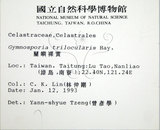 中文名:日本衛矛(S010421)學名:Euonymus japonicus Thunb.(S010421)中文別名:大葉黃楊拉丁同物異名:Euonymus japonicus Thunb.