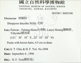 中文名:毛柿(S065106)學名:Diospyros philippensis (Desr.) Gurke(S065106)中文別名:保亭柿英文名:Taiwan Ebony拉丁同物異名:Diospyros potingensis Chun & Merr.