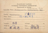 中文名:乾溝飄拂草(S066481)學名:Fimbristylis cymosa R. Br.(S066481)