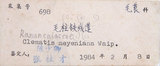 中文名:麥氏鐵線蓮(S084431)學名:Clematis meyeniana Walp.(S084431)