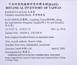 中文名:麥氏鐵線蓮(S090474)學名:Clematis meyeniana Walp.(S090474)