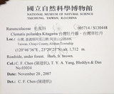 中文名:臺灣牡丹藤(S130448)學名:Clematis psilandra Kitag.(S130448)中文別名:台灣牡丹藤拉丁同物異名:Clematis psilandra Kitagawa