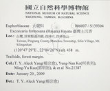 中文名:臺灣土沉香(S139304)學名:Excoecaria formosana (Hayata) Hayata(S139304)英文名:Formosan Excoecaria