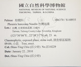 中文名:臺灣海棗(S148935)學名:Phoenix hanceana Naudin(S148935)中文別名:台灣海棗英文名:Formosan date Palm