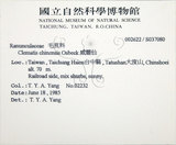 中文名:大肚山威靈仙(S037080)學名:Clematis chinensis Osbeck var. tatushanensis T. Y. A. Yang(S037080)