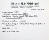 中文名:大肚山威靈仙(S075058)學名:Clematis chinensis Osbeck var. tatushanensis T. Y. A. Yang(S075058)