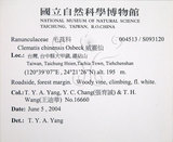 中文名:大肚山威靈仙(S093120)學名:Clematis chinensis Osbeck var. tatushanensis T. Y. A. Yang(S093120)