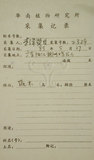 中文名:鈍齒鼠李(S033284)學名:Rhamnus crenata Sieb. & Zucc.(S033284)英文名:Oriental Buckthorn