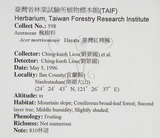 中文名:臺灣紅榨槭(S043214)學名:Acer morrisonense Hayata(S043214)中文別名:臺灣紅榨楓英文名:Taiwan red maple