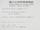 中文名:裡白忍冬(S005413)學名:Lonicera hypoglauca Miq.(S005413)中文別名:紅星金銀花英文名:Red-spotted honeysuckle