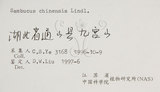 中文名:冇骨消(S056312)學名:Sambucus chinensis Lindl.(S056312)中文別名:七葉蓮