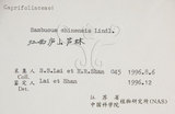 中文名:冇骨消(S059886)學名:Sambucus chinensis Lindl.(S059886)中文別名:七葉蓮