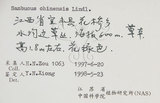 中文名:冇骨消(S060826)學名:Sambucus chinensis Lindl.(S060826)中文別名:七葉蓮