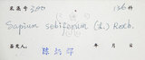 中文名:烏臼(S029802)學名:Sapium sebiferum (L.) Roxb.(S029802)中文別名:木油樹