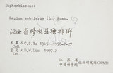 中文名:烏臼(S057676)學名:Sapium sebiferum (L.) Roxb.(S057676)中文別名:木油樹