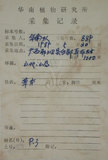 中文名:生根卷柏(P004842)學名:Selaginella doederleinii Hieron.(P004842)