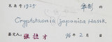 中文名:鴨兒芹(S043697)學名:Cryptotaenia japonica Hassk.(S043697)中文別名:山芹菜