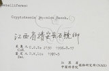 中文名:鴨兒芹(S057729)學名:Cryptotaenia japonica Hassk.(S057729)中文別名:山芹菜