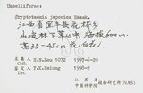 中文名:鴨兒芹(S060164)學名:Cryptotaenia japonica Hassk.(S060164)中文別名:山芹菜