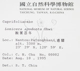 中文名:阿里山忍冬(S015796)學名:Lonicera acuminata Wall. ex Roxb.(S015796)中文別名:漸尖葉忍冬