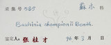 中文名:菊花木(S037473)學名:Bauhinia championii (Benth.) Benth.(S037473)英文名:Chrysanthemum Wood, Champion Bauhinia