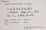 中文名:木荷(S060844)學名:Schima superba Gardn. & Champ. var. superba.(S060844)英文名:Chinese gugert-tree