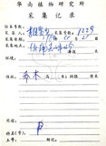 中文名:鐵毛蕨(P004455)學名:Cyclosorus interruptus (Willd.) H. Ito(P004455)