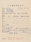 中文名:薺(S057922)學名:Capsella bursa-pastoris (L.) Medic.(S057922)