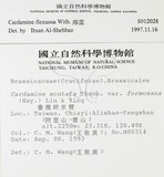 中文名:焊菜(S012028)