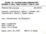 中文名:白珠樹(S073283)學名:Gaultheria cumingiana Vidal(S073283)