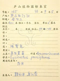 中文名:臺灣石吊蘭(S059667)學名:Lysionotus pauciflorus Maxim.(S059667)中文別名:吊石苣苔