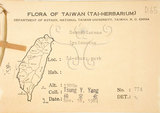 中文名:臺灣石吊蘭(S072364)學名:Lysionotus pauciflorus Maxim.(S072364)中文別名:吊石苣苔