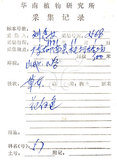 中文名:火炭母草(S039417)學名:Polygonum chinense L.(S039417)中文別名:清飯藤