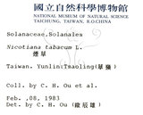 中文名:假酸漿(S005575)學名:Trichodesma calycosum Collett & Hemsl.(S005575)