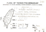 中文名:臺灣青莢葉(S076160)