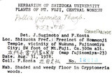中文名:杜若(S049084)學名:Pollia japonica Thunb.(S049084)