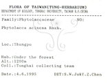 中文名:日本商陸(S067082)學名:Phytolacca japonica Makino(S067082)