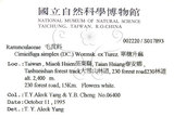 中文名:單穗升麻(S017893)學名:Actaea taiwanensis J. Compton, Hedd. & T. Y. Yang(S017893)