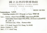 中文名:單穗升麻(S017894)學名:Actaea taiwanensis J. Compton, Hedd. & T. Y. Yang(S017894)