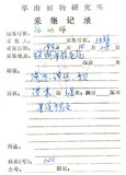 中文名:水筆仔(S028854)學名:Kandelia obovata Sheue, Liu & Yomg(S028854)