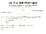 中文名:巒大花楸(S040078)學名:Sorbus randaiensis (Hayata) Koidz.(S040078)英文名:Taiwan Mountain-ash