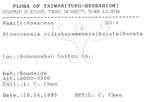 中文名:巒大花楸(S071367)學名:Sorbus randaiensis (Hayata) Koidz.(S071367)英文名:Taiwan Mountain-ash