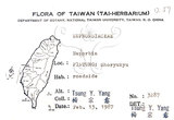 中文名:檄樹(S076031)學名:Morinda citrifolia L.(S076031)英文名:Indian Mulberry