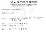 中文名:小花蛇根草(S010429)學名:Ophiorrhiza kuroiwae Makino(S010429)